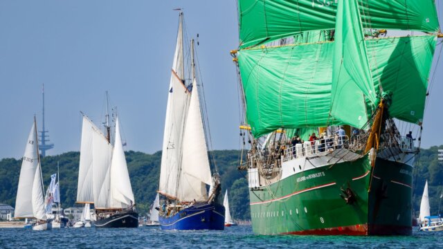 Windjammer segeln in einer Parade vor Kiel